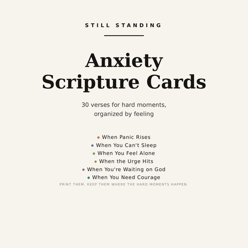 Anxiety Scripture Cards — cover: 30 verses for hard moments, organized by feeling