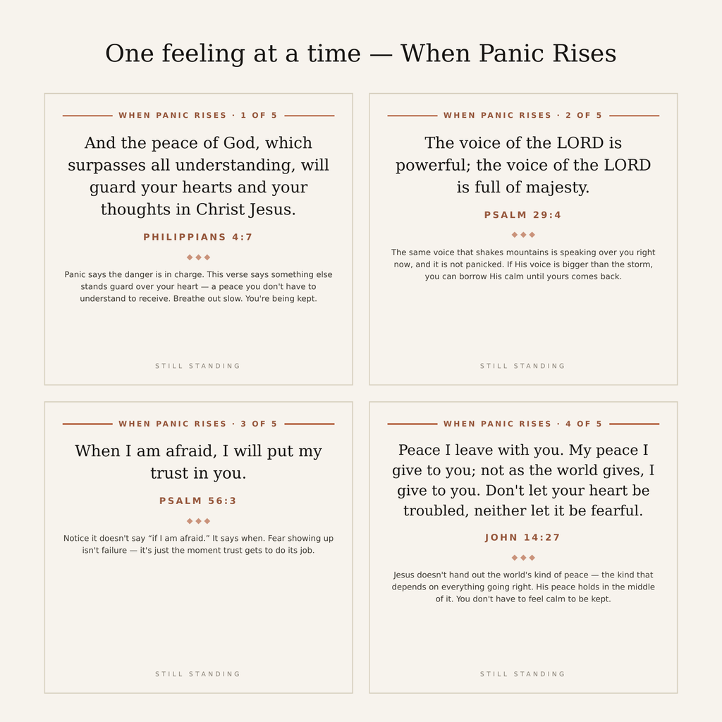 When Panic Rises — four of the five panic cards