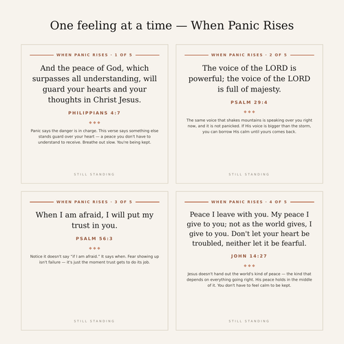When Panic Rises — four of the five panic cards