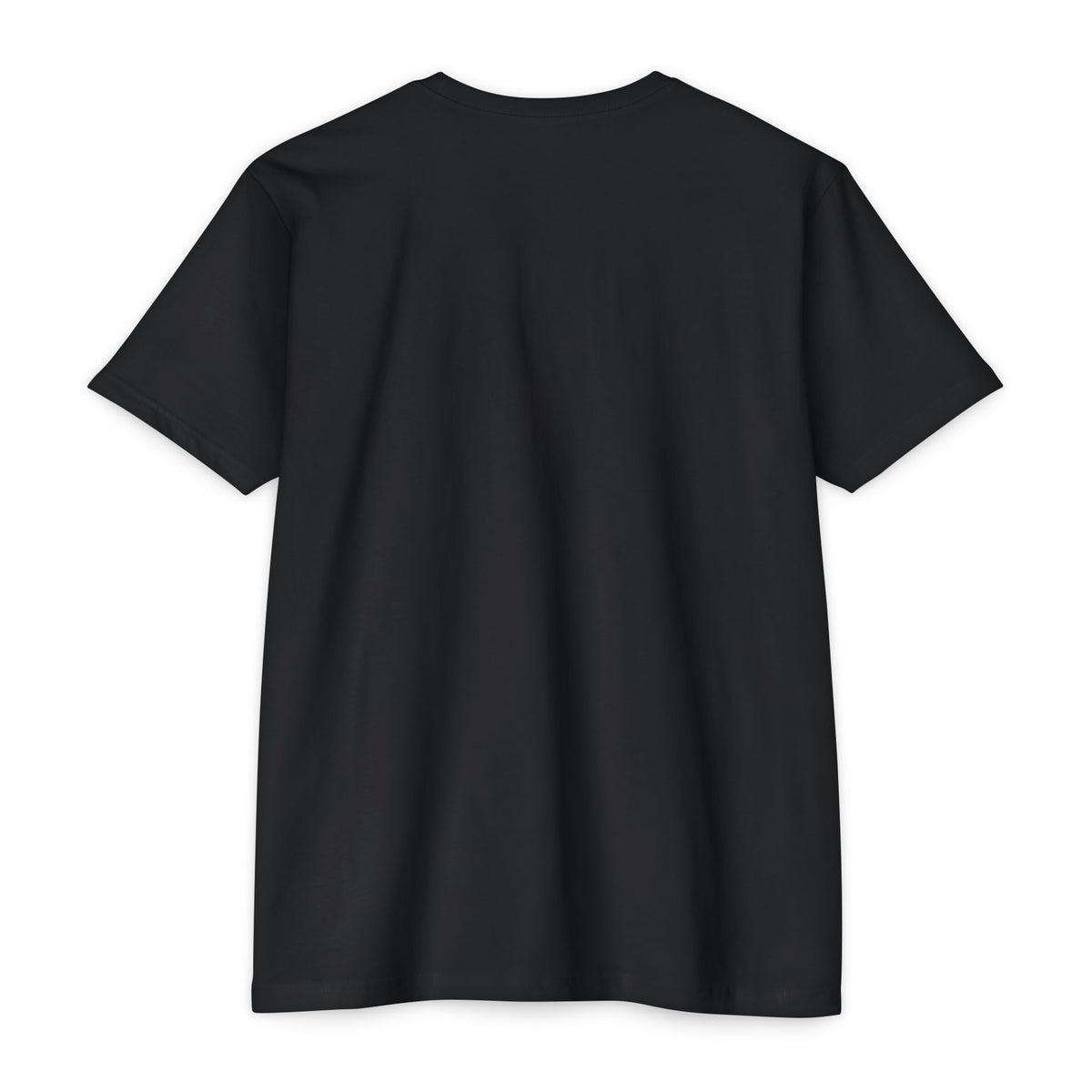 God’s Plan Inspirational Graphic T-Shirt