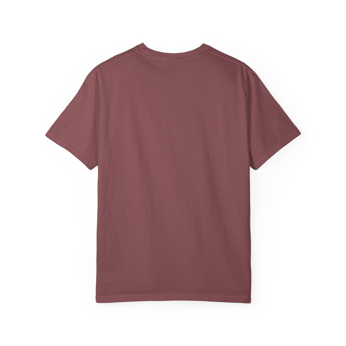 His Peace Is Stronger Than My Panic T-Shirt