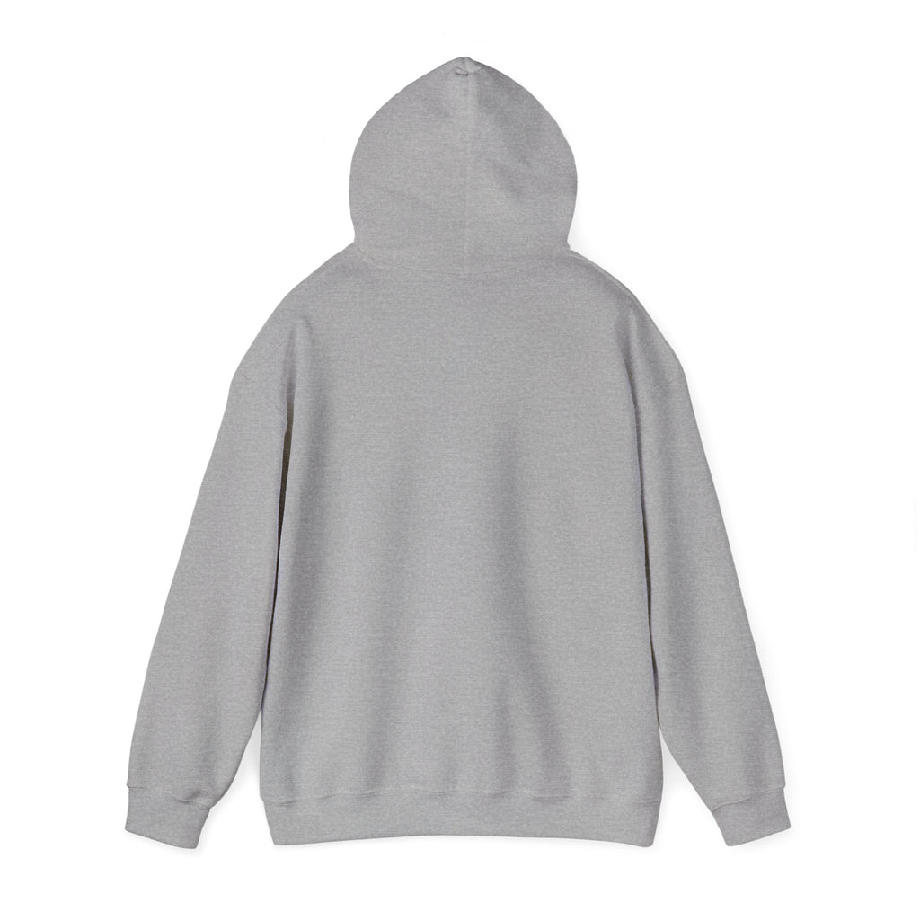 NA: Never Alone Mountain Sunrise Hoodie