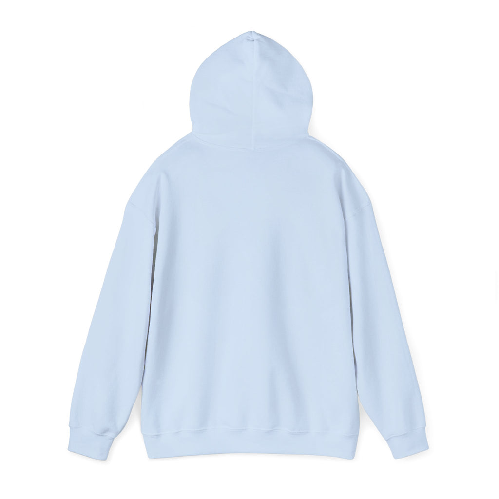 AuSome – Autism Awareness Hoodie