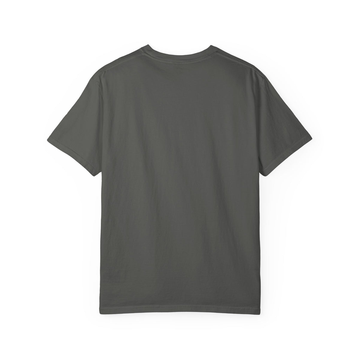 His Peace Is Stronger Than My Panic T-Shirt